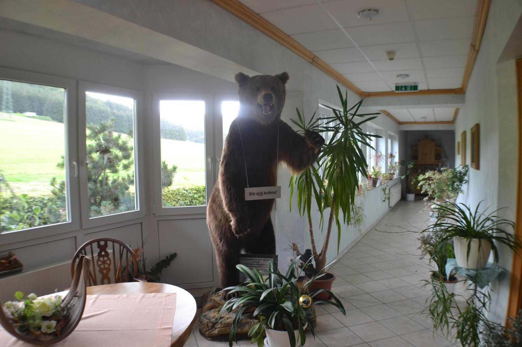 Landhotel Gasthof Wuellner Winterberg Exteriör bild